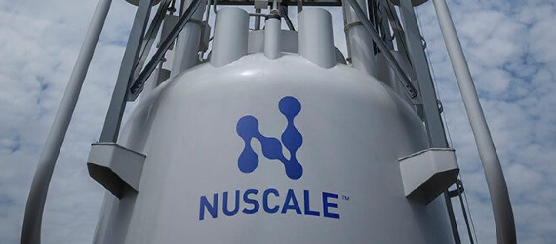 nuscale-gal4-m